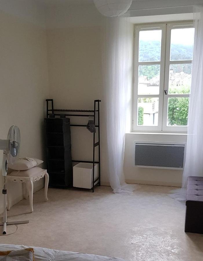 Vista Cevenol: Appartement 2 Chambres 圣让杜加尔 外观 照片