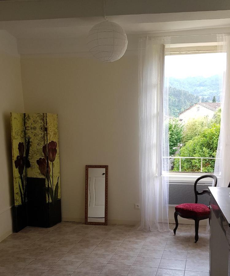 Vista Cevenol: Appartement 2 Chambres 圣让杜加尔 外观 照片
